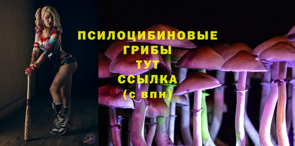 Альфа ПВП Алексин